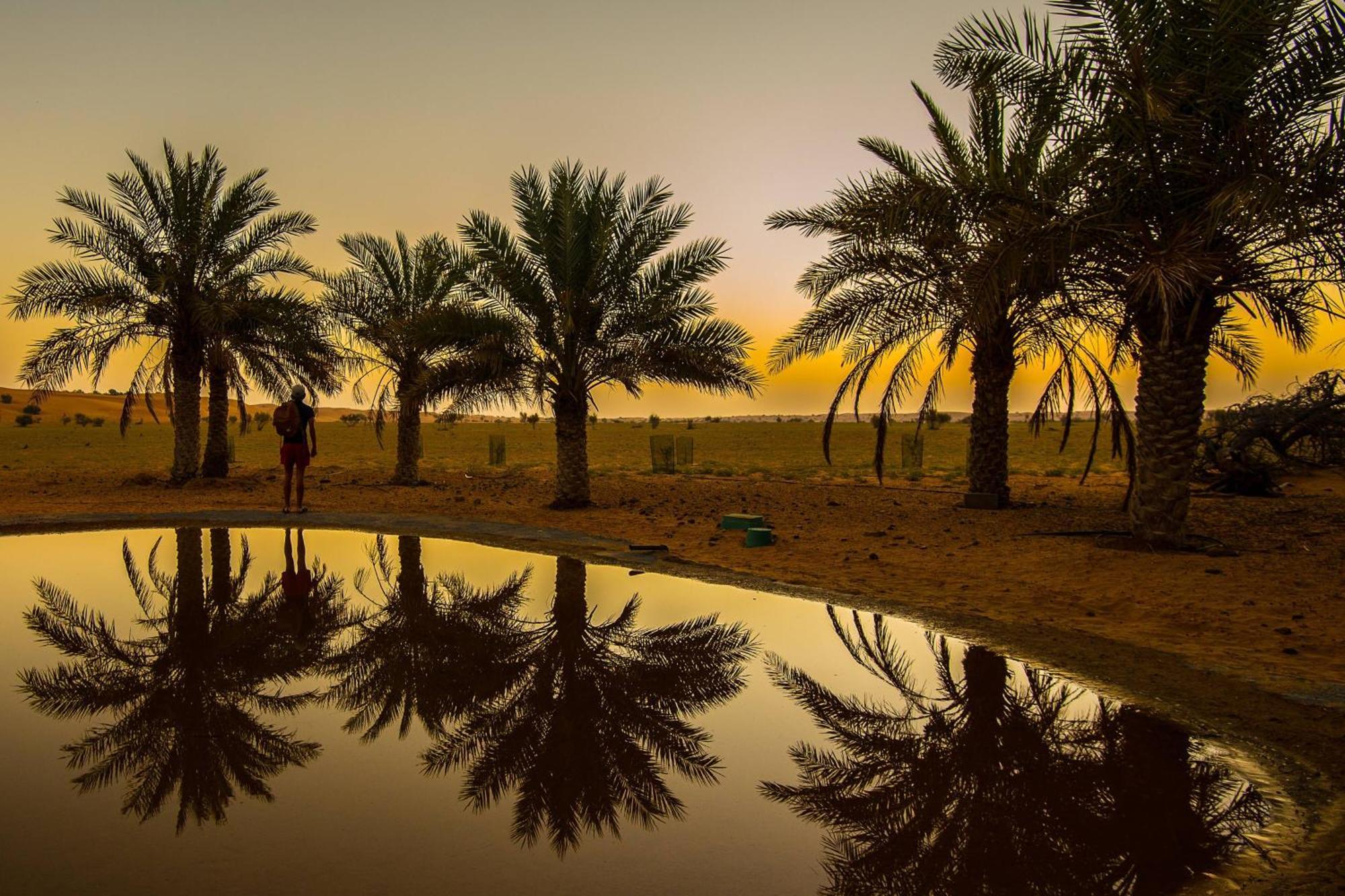 Al Maha, A Luxury Collection Desert Resort & Spa, Dubai (Adults Only) Murqquab Exterior photo